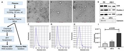 Circulating plasma miR-23b-3p as a biomarker target for idiopathic Parkinson's disease: comparison with small extracellular vesicle miRNA